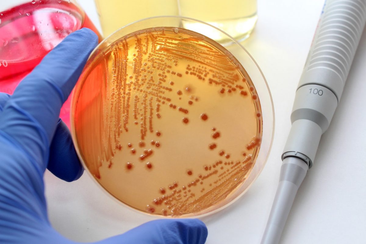 What to Know About Foodborne Illness Claims