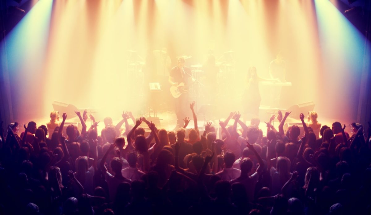 Crowd Violence in Music Venues Warning Signs and How to Stop It