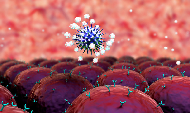 strong immune system